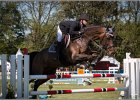 Pferd International 216